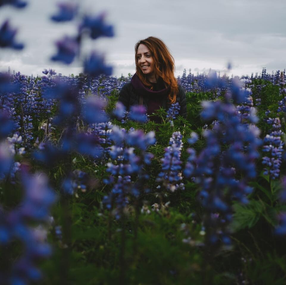 Lupines are an invasive species here in Iceland, but they make everything look so fantastic and surreal at times. Imagine fields and fields of them and glaciers in the background. This is not a glacier, but my dear friend Olya 💜 

#fujifilmnordic #l