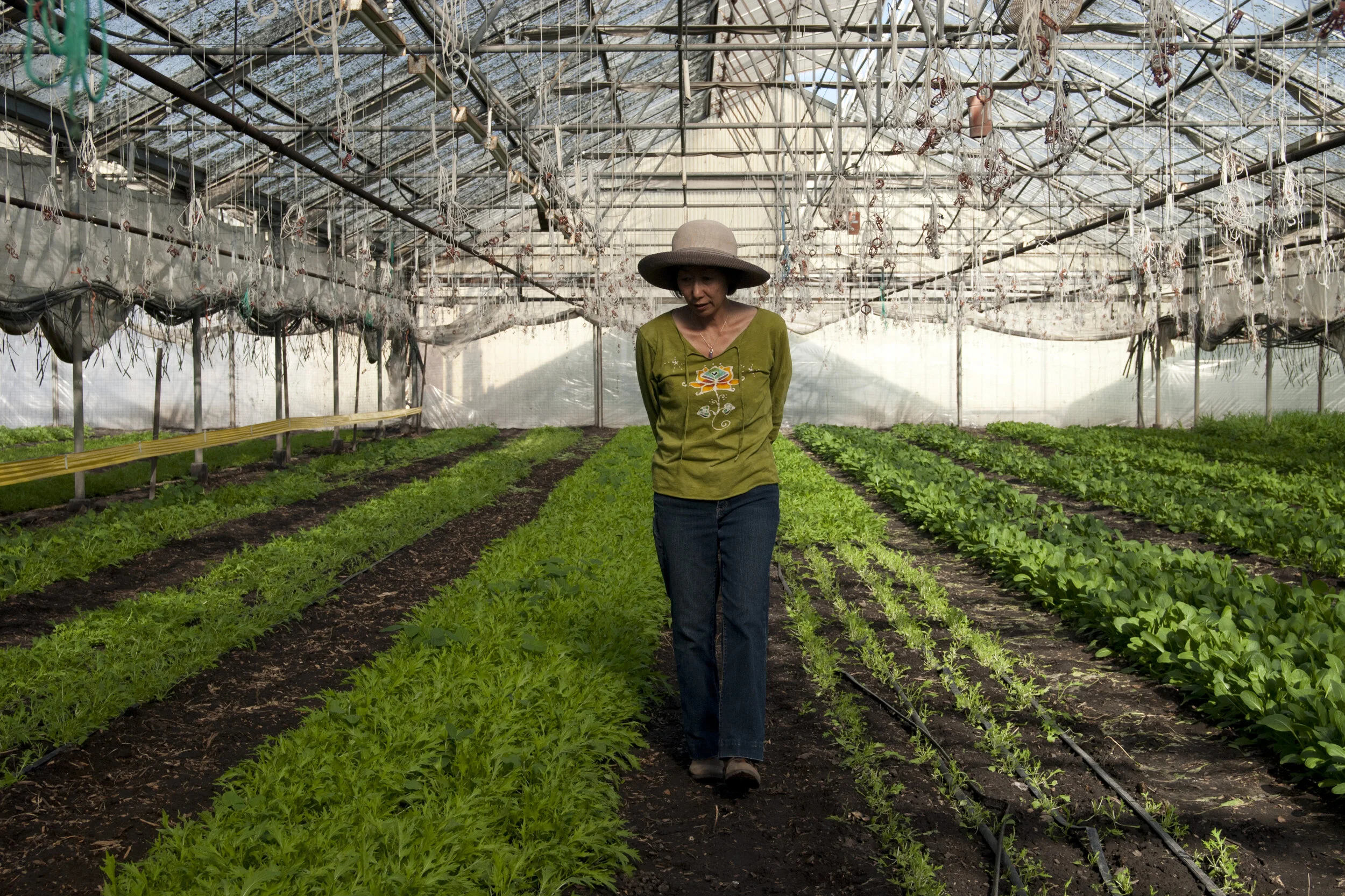 About Us Kitchen Table Advisors — Kitchen Table Advisors