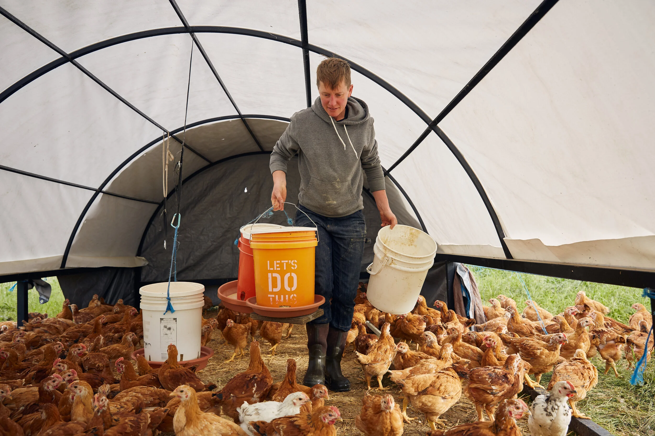 Kitchen Table Advisors Business advising to small farms