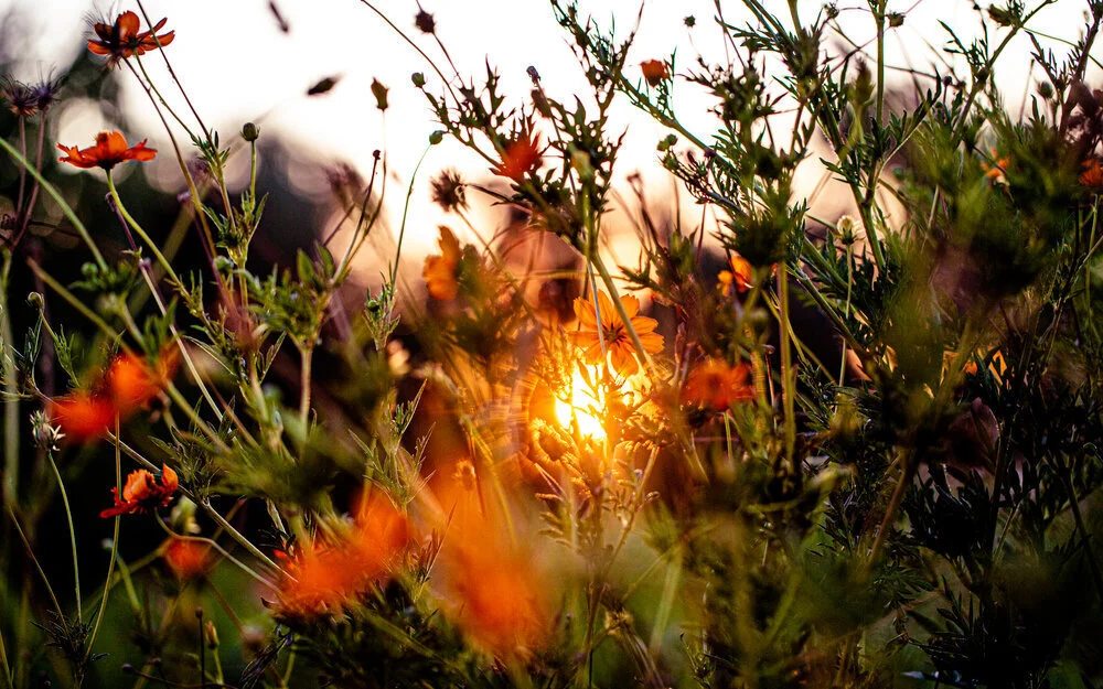 Respond. Reimagine. Rebuild.