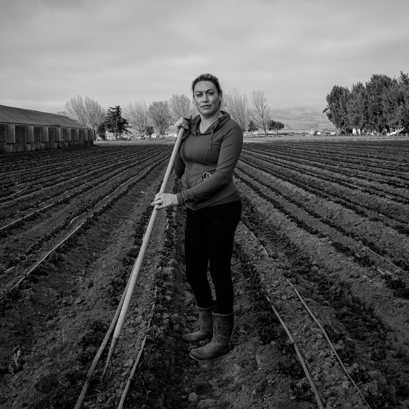 Isabel Rosas, Dream Farm | Salinas
