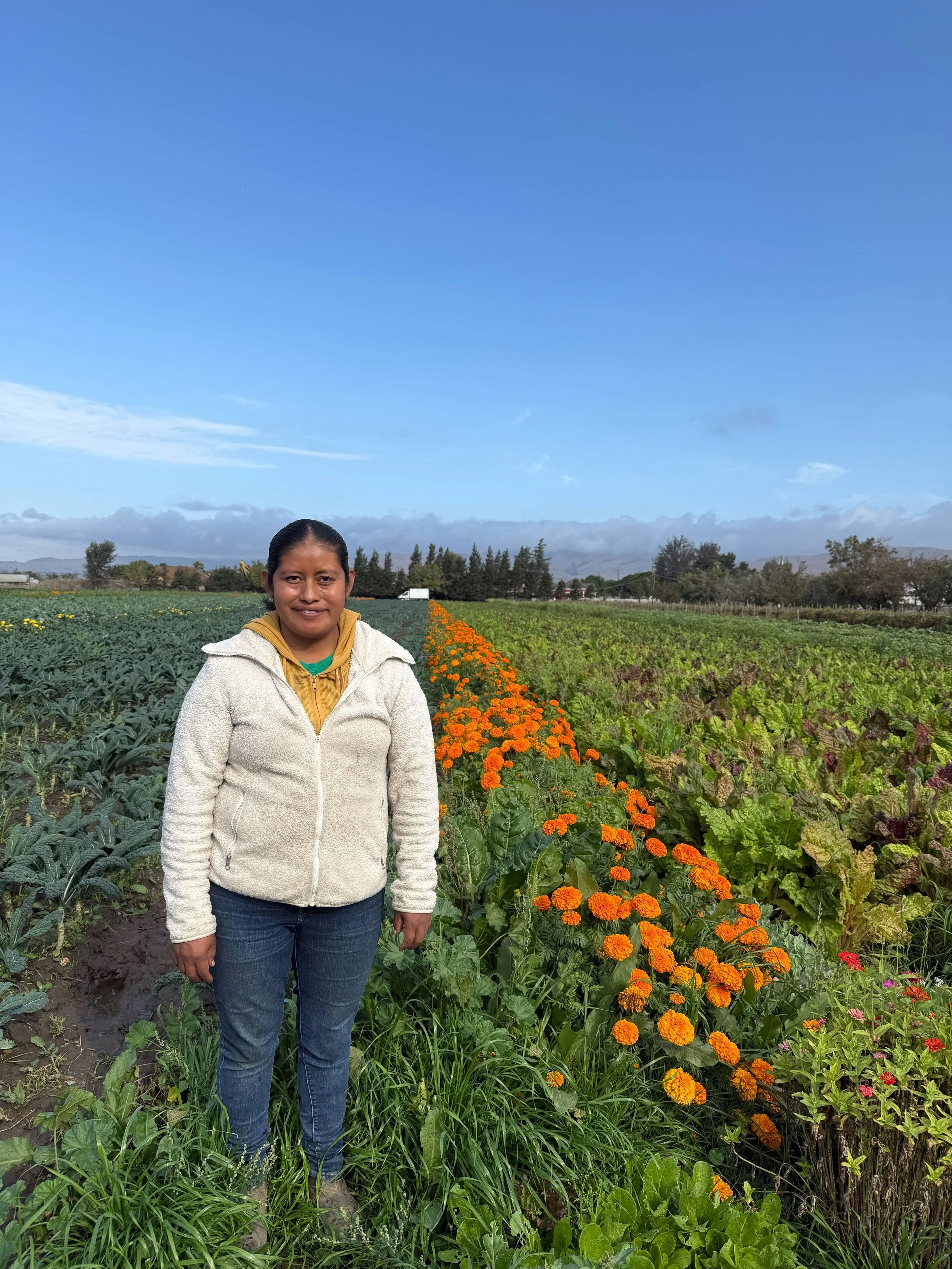 Sowing Seeds with KTA’s 2026 Client Cohort