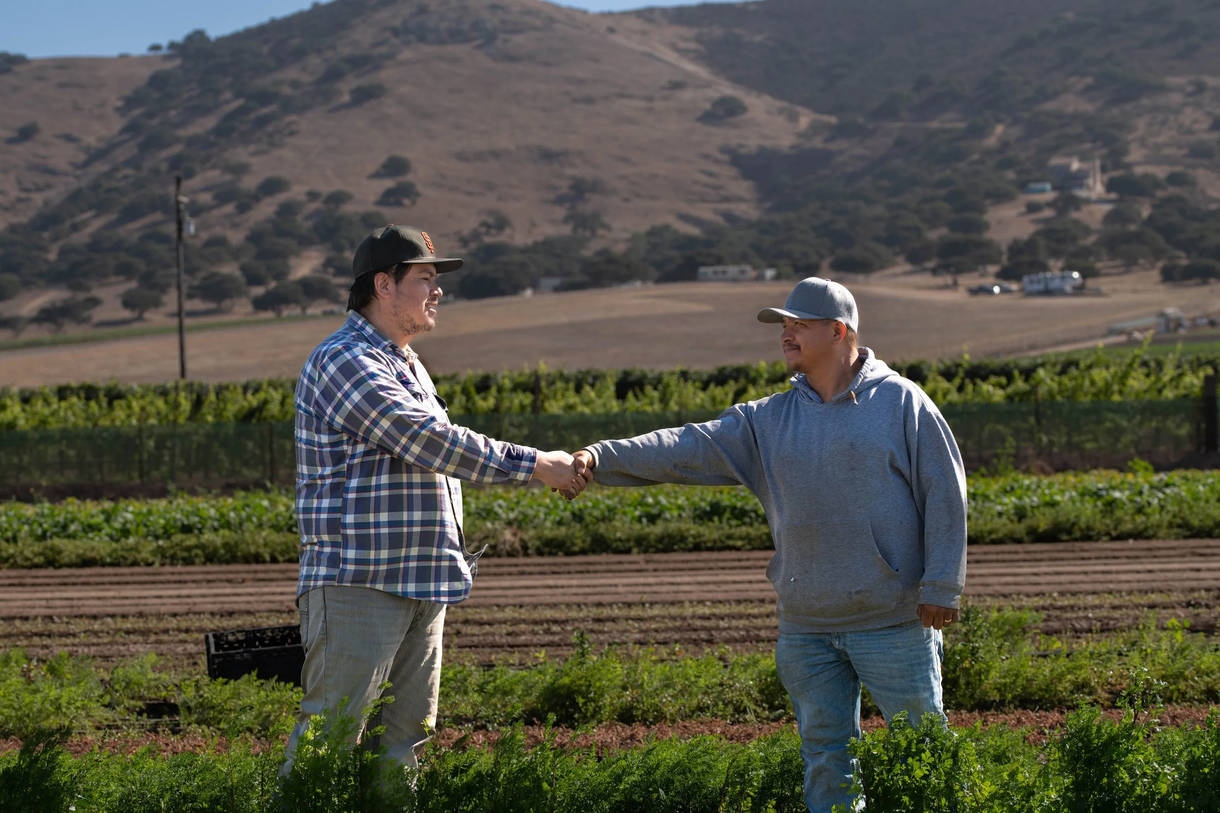 Resource Round-Up: Tools to Support Your Ag Business