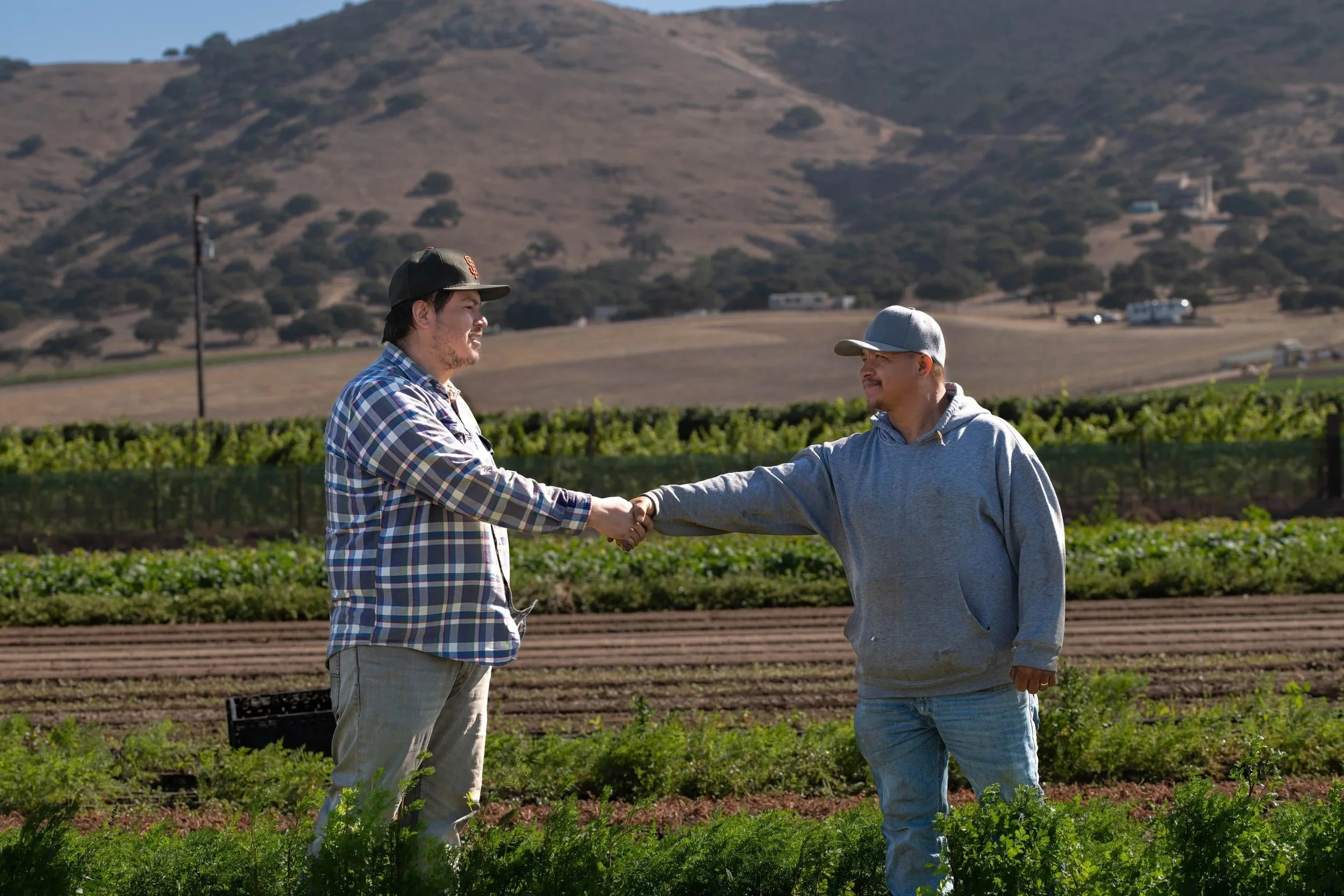 Resource Round-Up: Tools to Support Your Ag Business