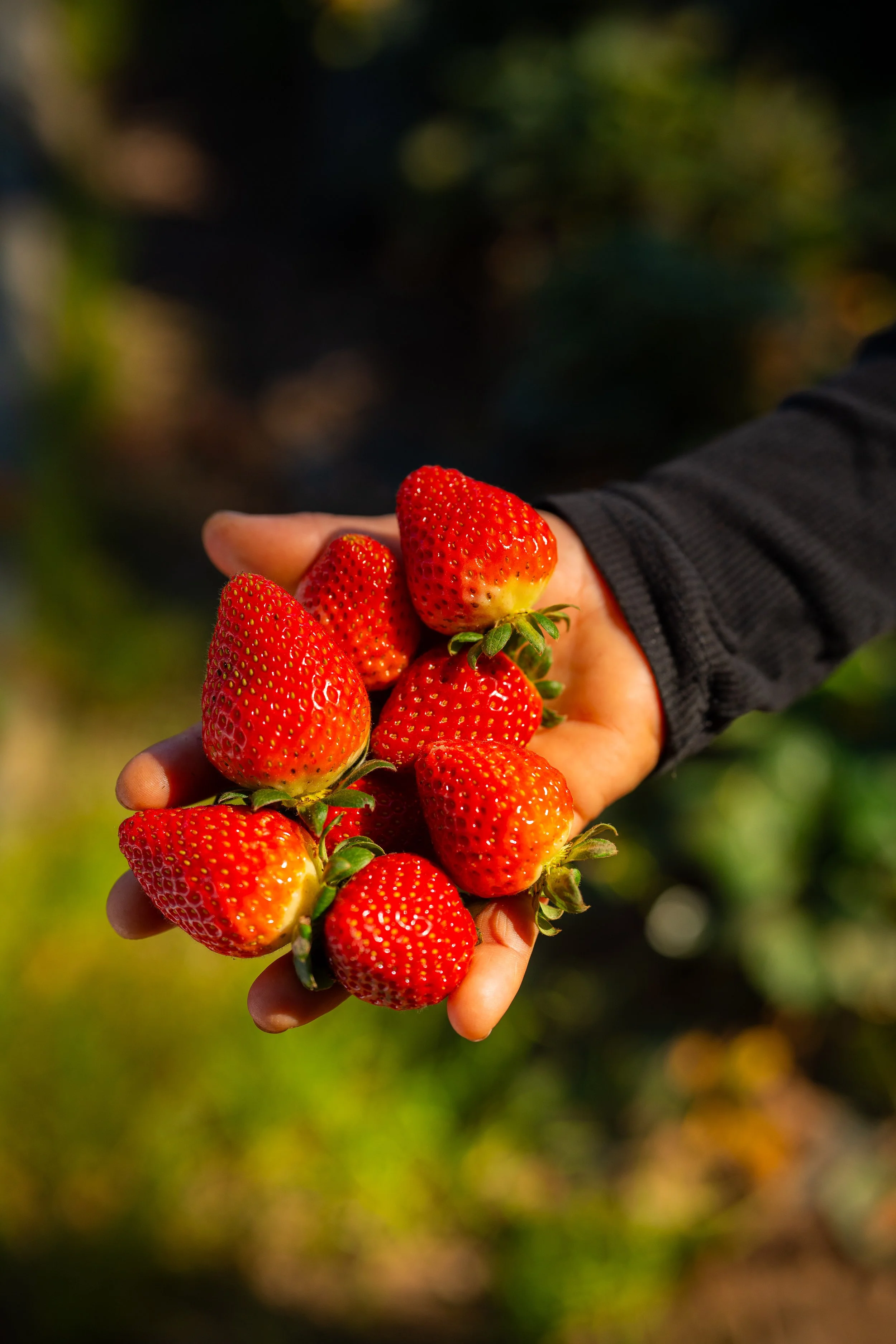 KTA_Exports-03184.jpg