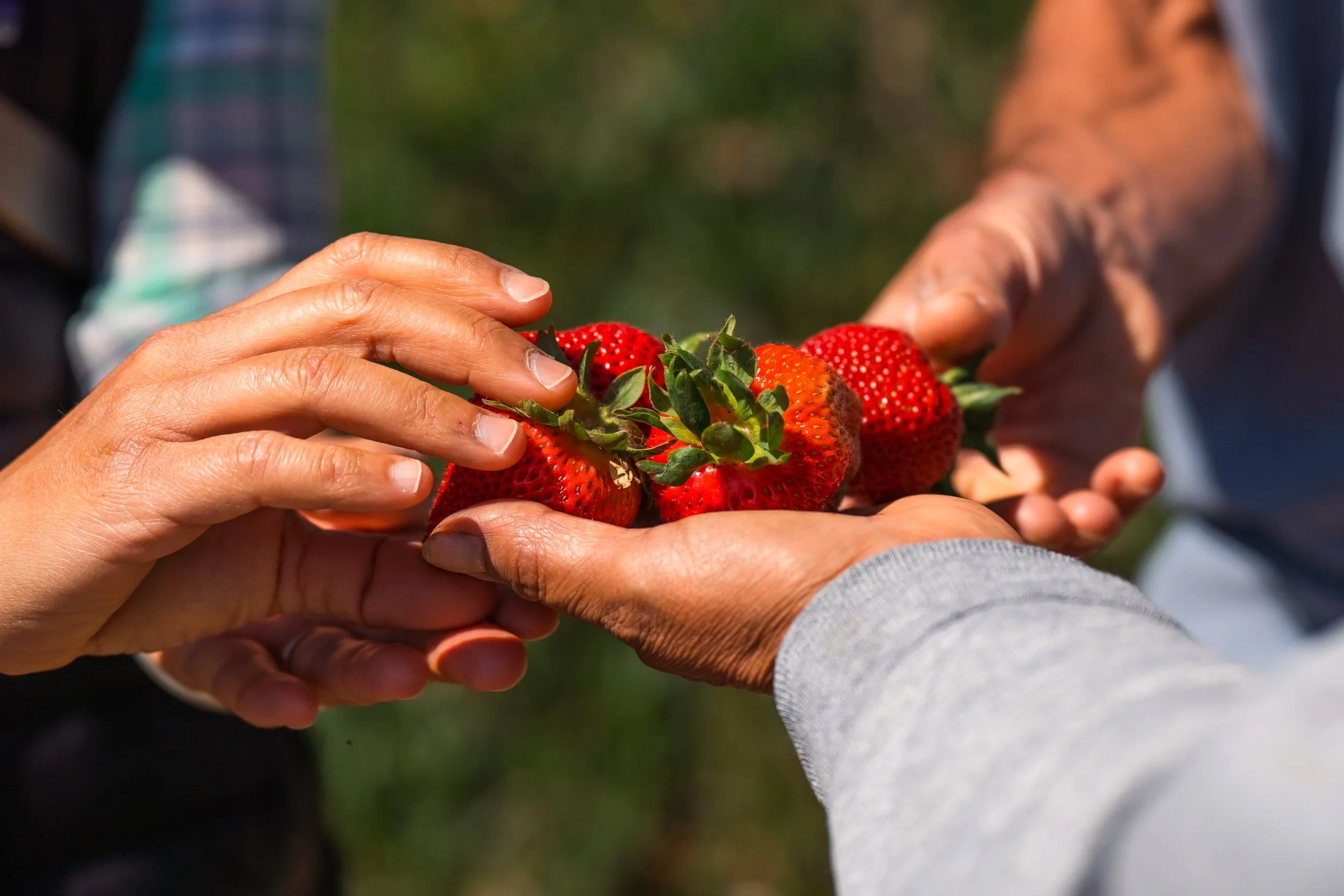 Our 2024 Cohort — Kitchen Table Advisors