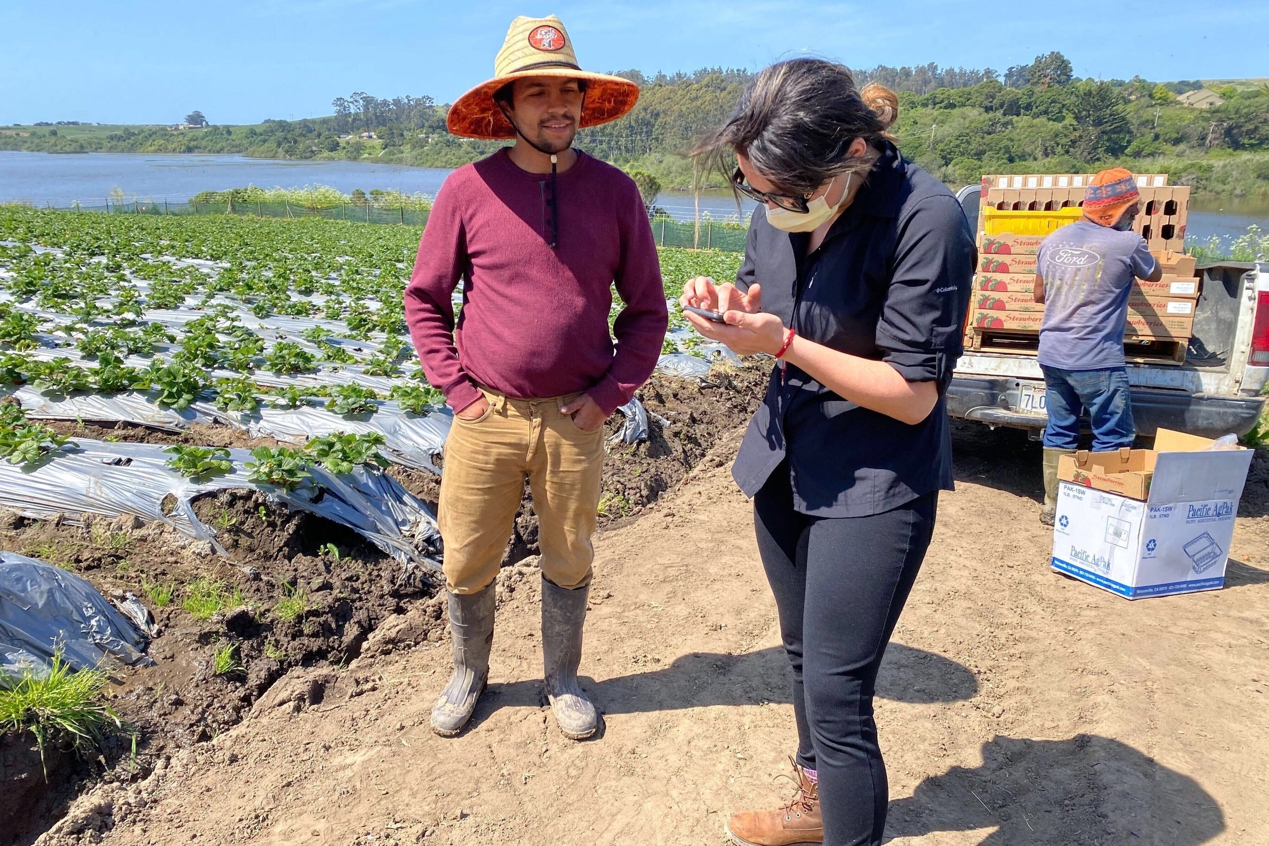Kitchen Table Advisors Business advising to small farms