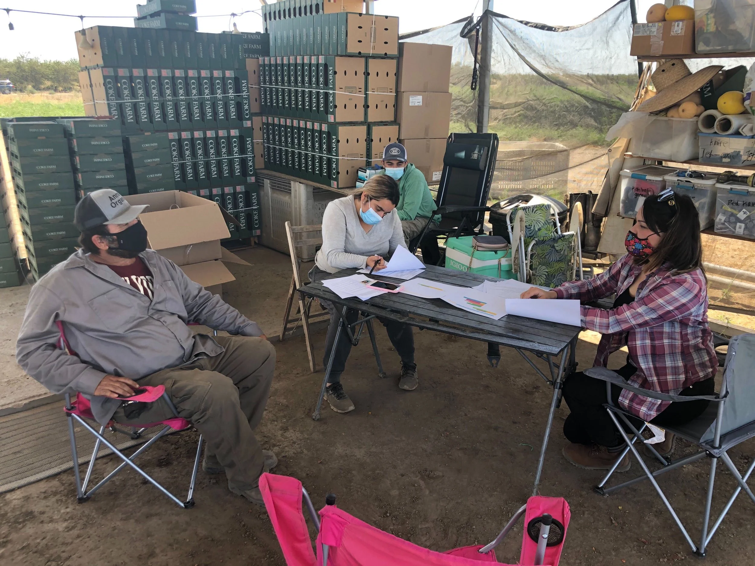 Anna's Organics Farm — Kitchen Table Advisors