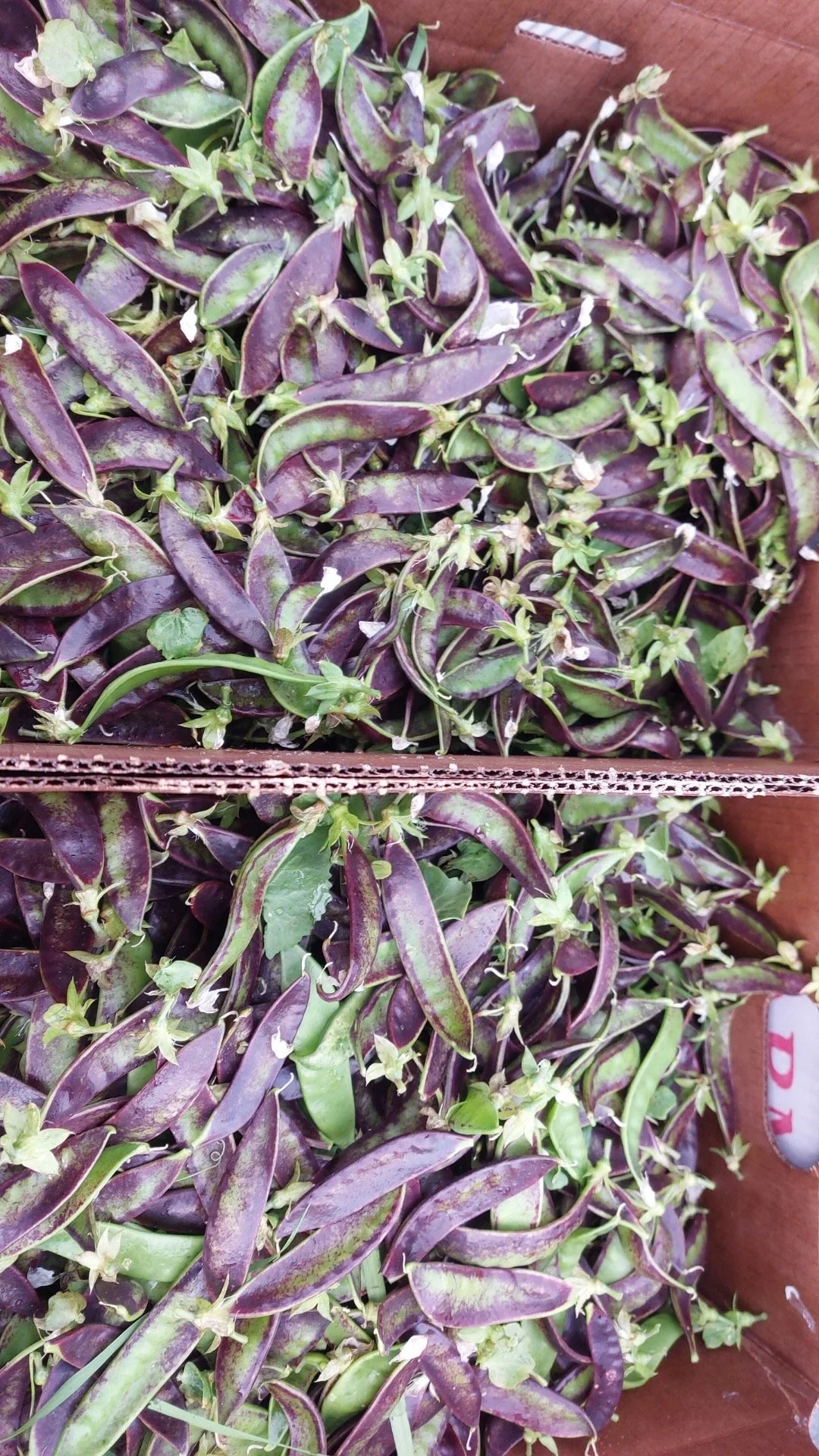 Attachment (14).jpeg