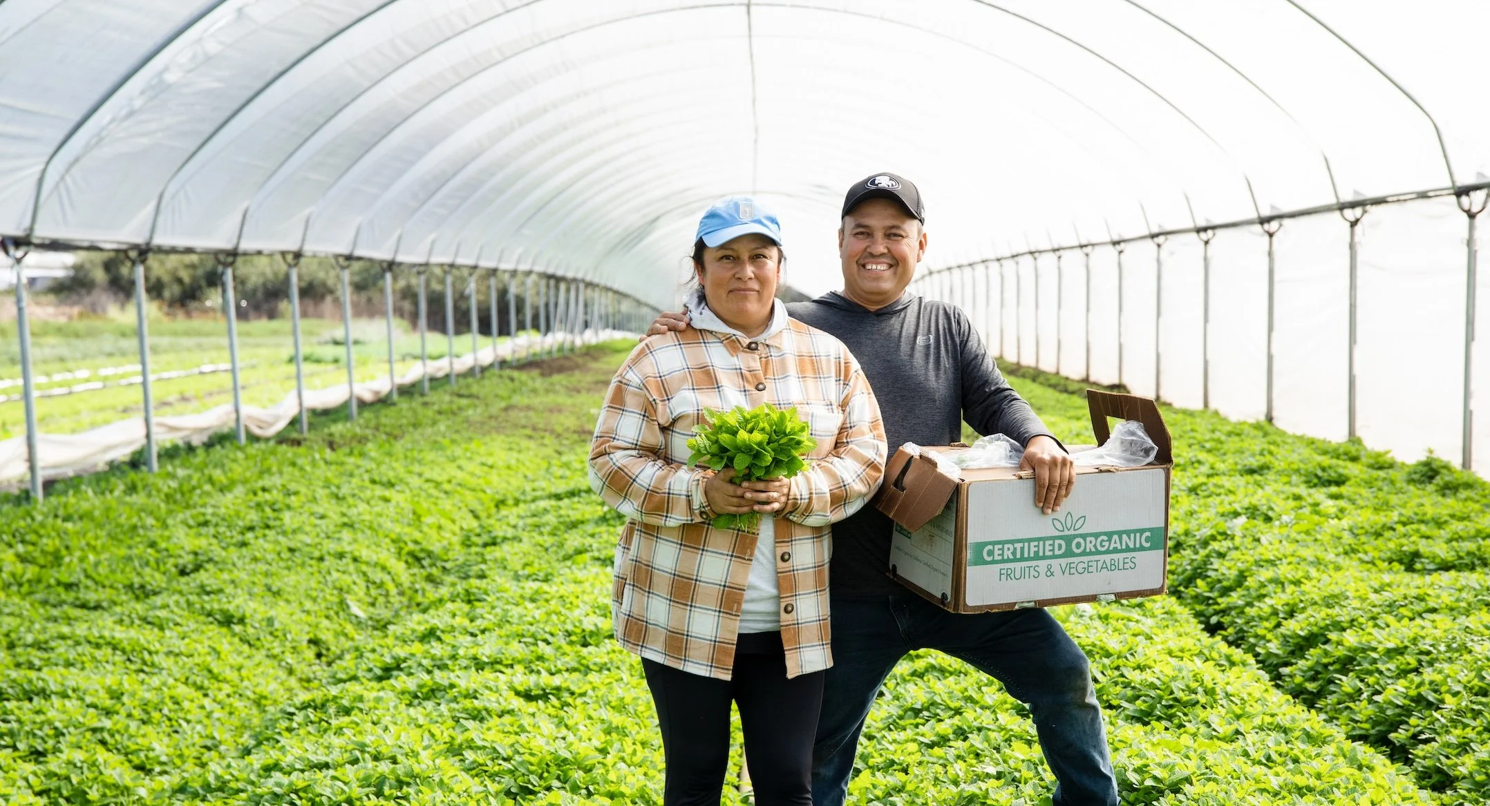 Kitchen Table Advisors Business advising to small farms