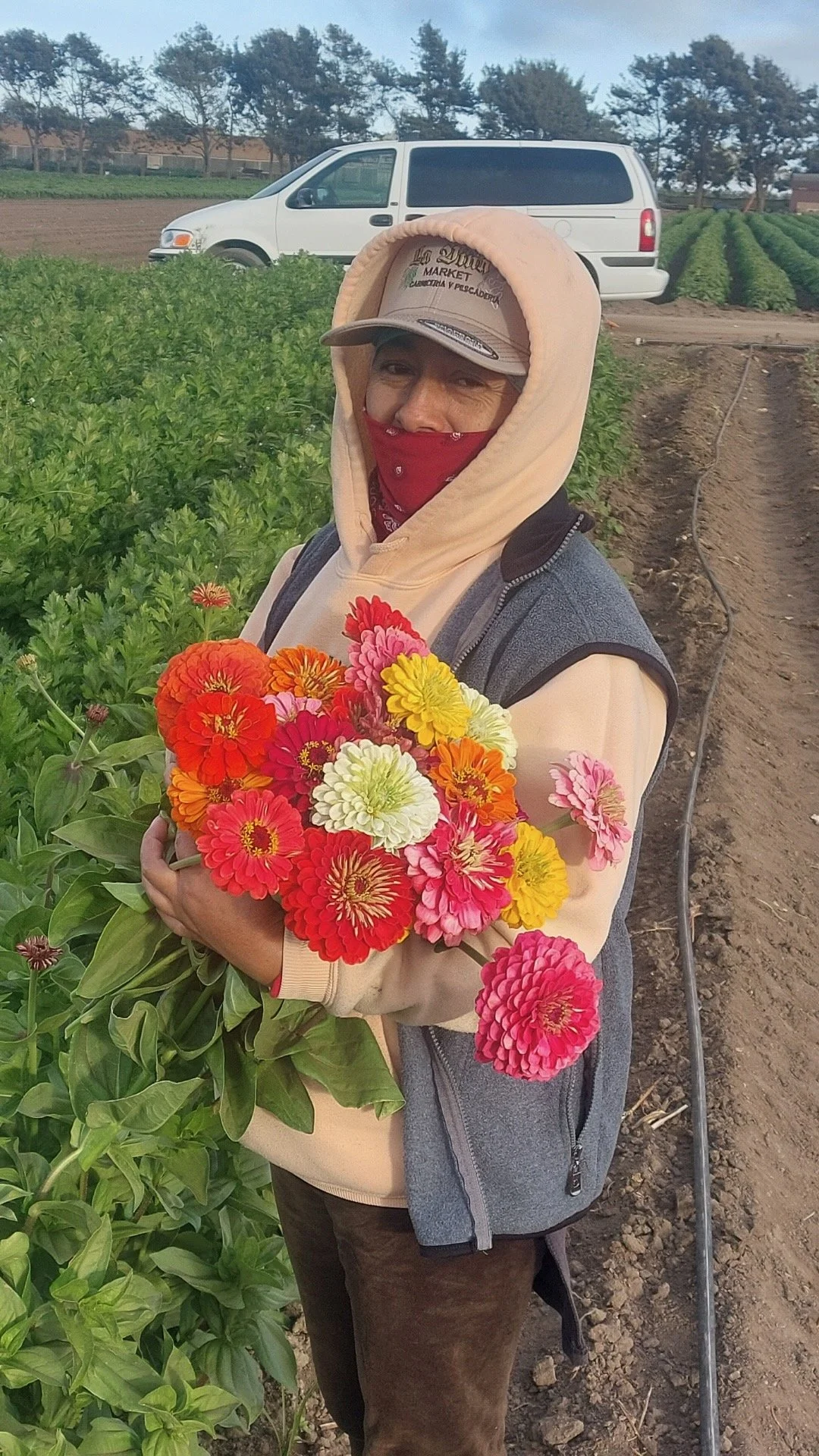 Attachment (24).jpeg