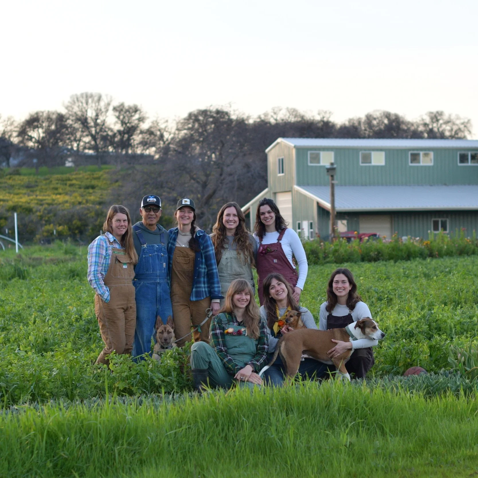 A Farm Family at Rainwater Ranch — Kitchen Table Advisors