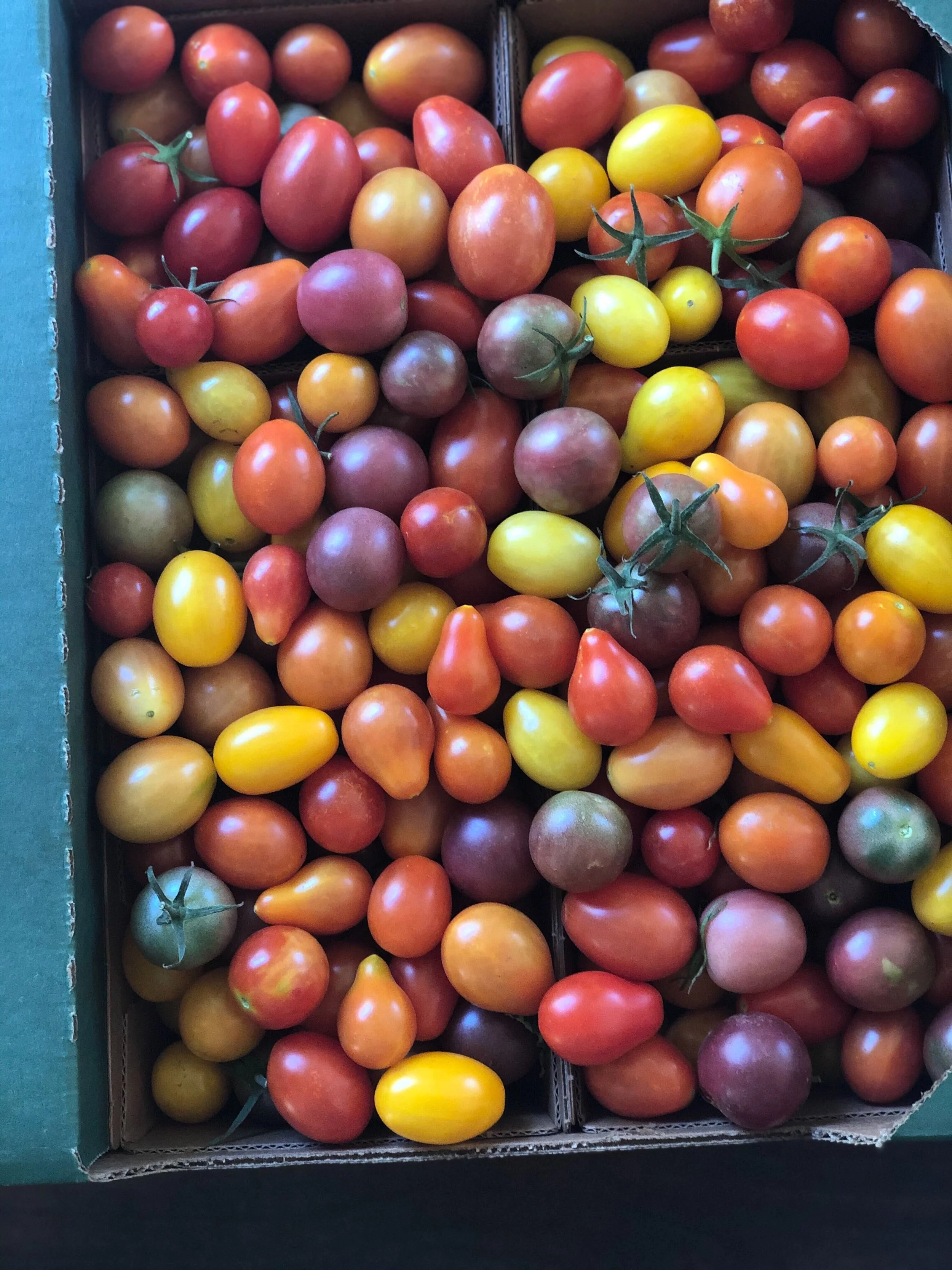 Anna's Organics Farm — Kitchen Table Advisors