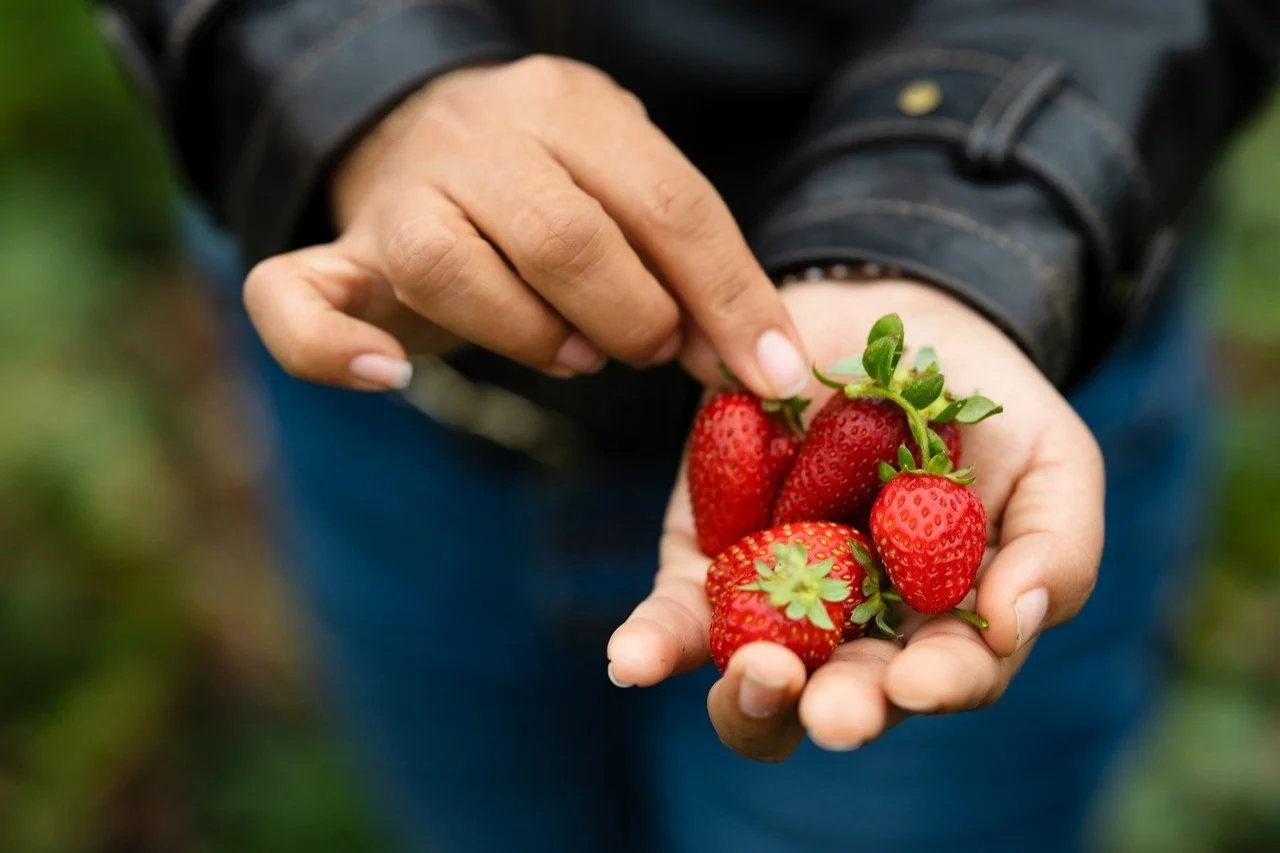 Behind an Advising Relationship — Kitchen Table Advisors