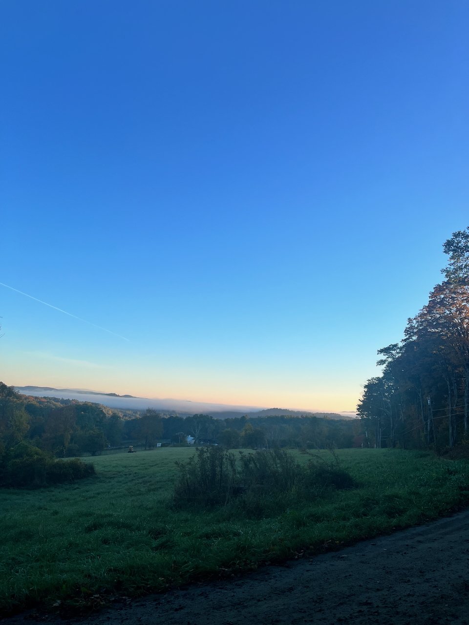 IMG_1413.jpeg