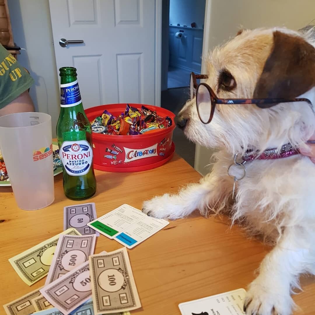 After a busy day meeting and greeting, barking at nothing and nibbling on gravy bones, first mate Pippen is spending her wages this evening!
Trips from 10am tomorrow morning. 
Seascan in her working years 
#mevagissey 
#seascan 
#boattrips 
#jackruss