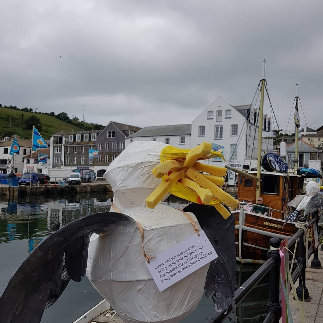 Good Morning...running coastal cruises today. Call us to book or pop down to the harbour.
Someone has created these fabulous paper gulls on the quayside!
#seascan 
#mevagissey 
#chartertrips 
#seagull
#cornishholidays 
#cornwall