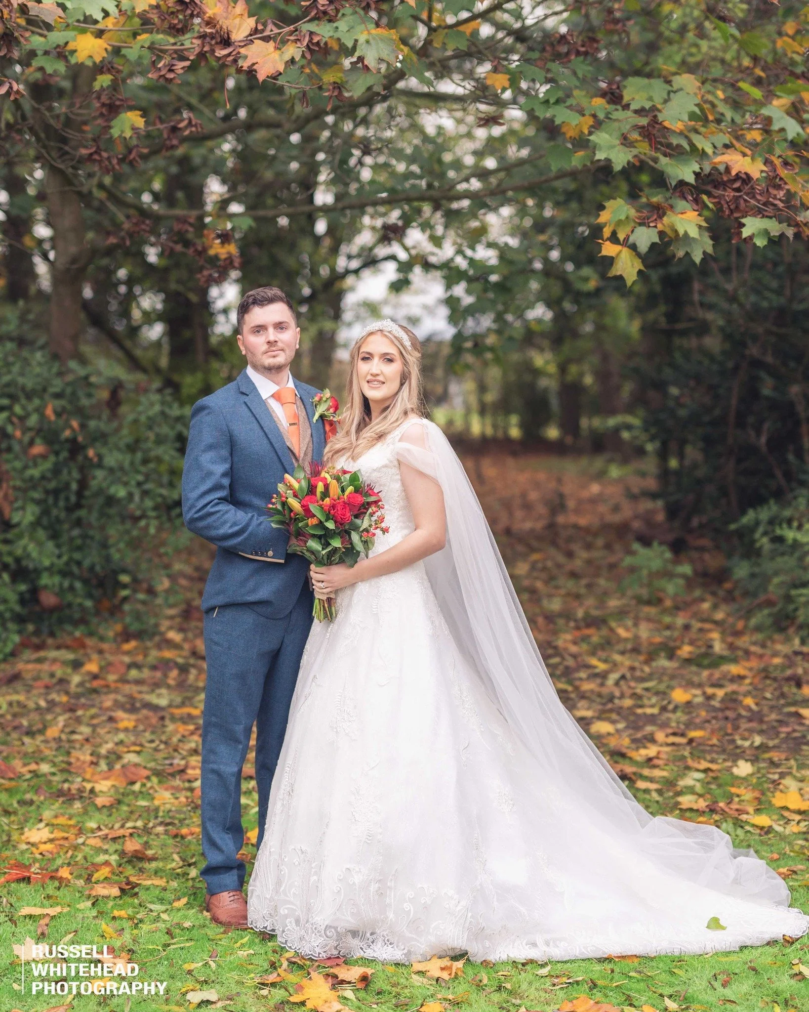 Ansty Hall Collection