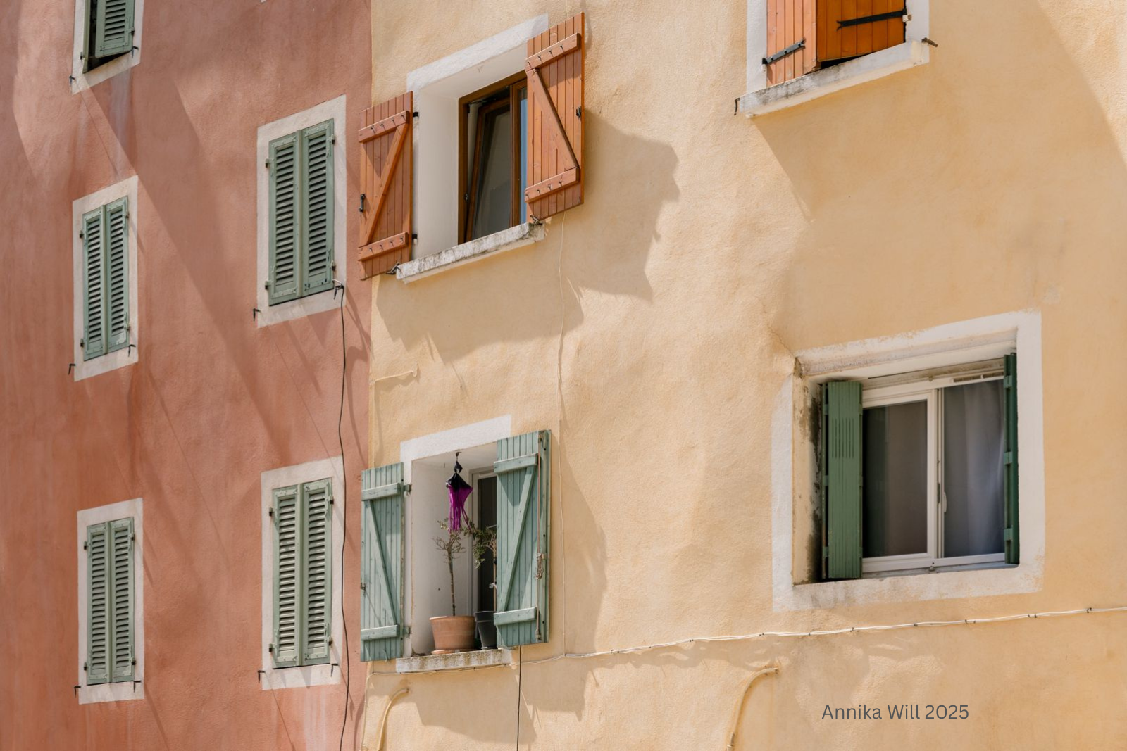 Annika Will 2025.png