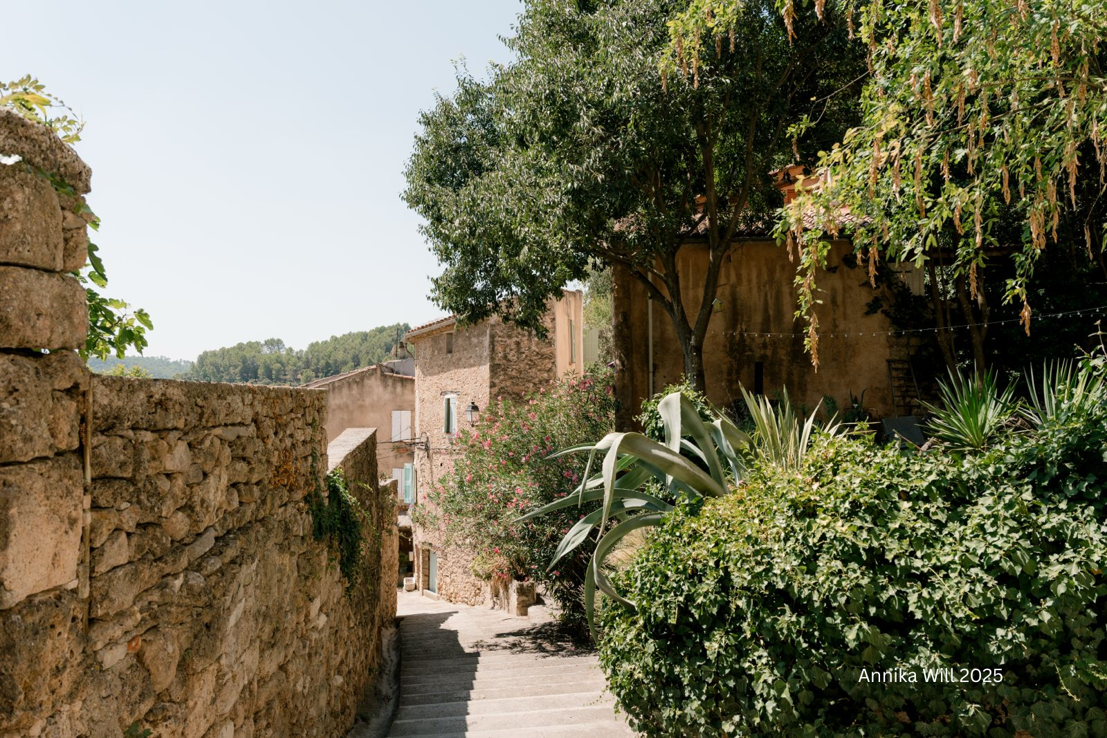 Annika Will 2025 (1).png