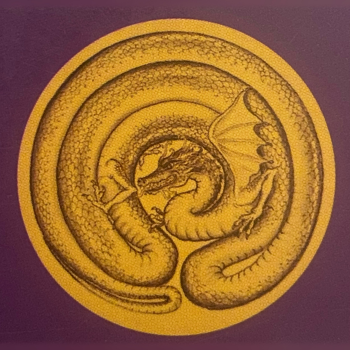 Dragon Energy in the Earth 