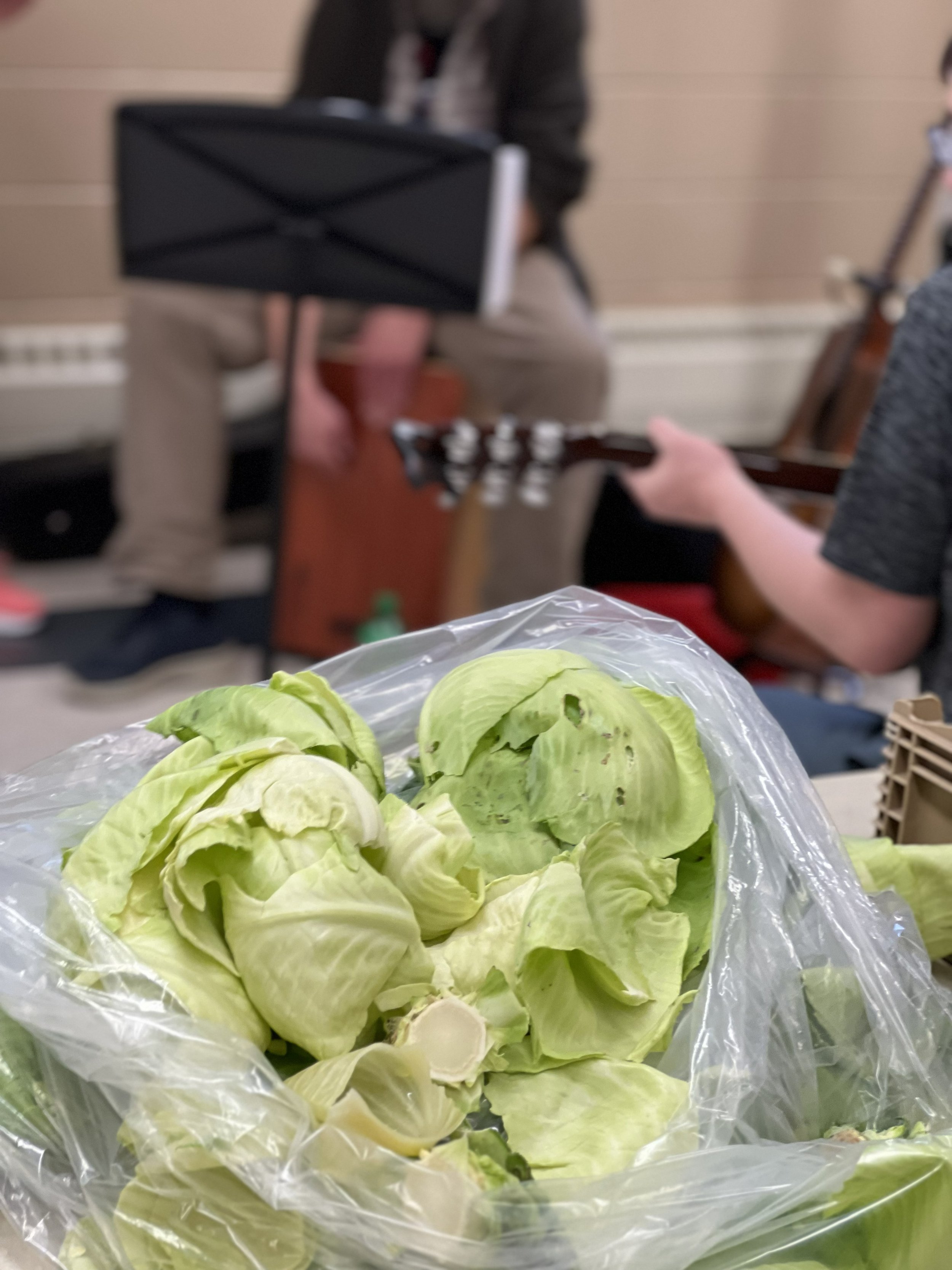 Two people play music in the background, with cabbage trimmings in a bag in the foreground.
