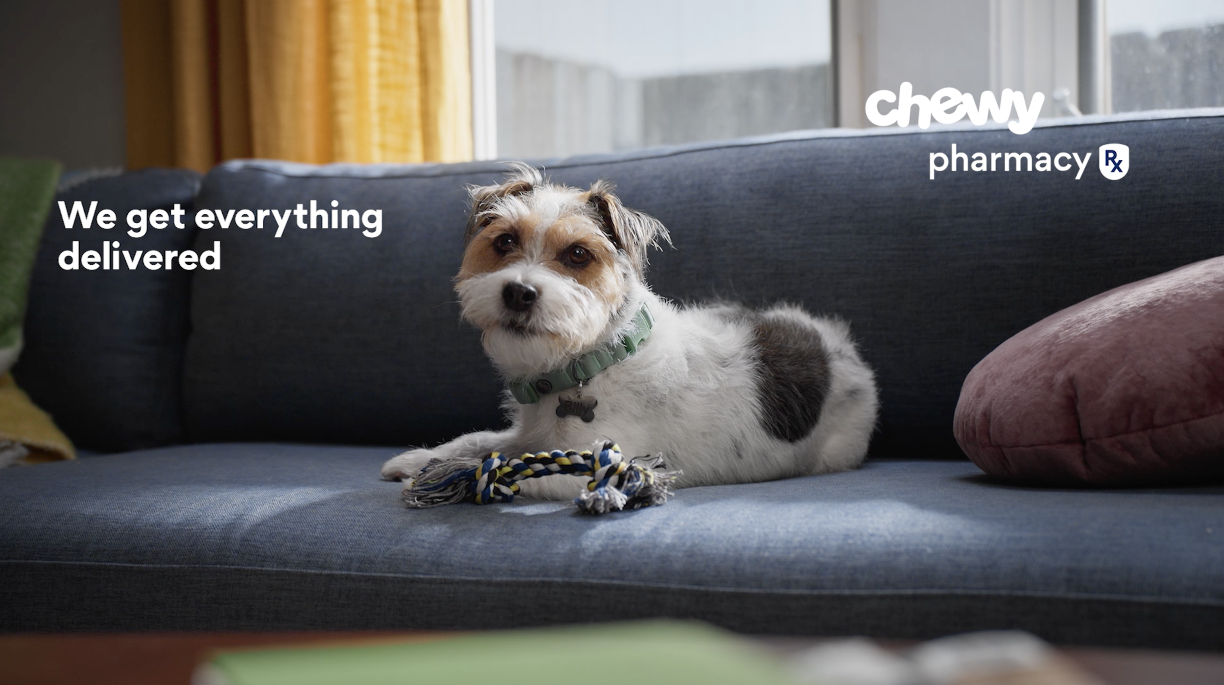 CHEWY PHARMACY