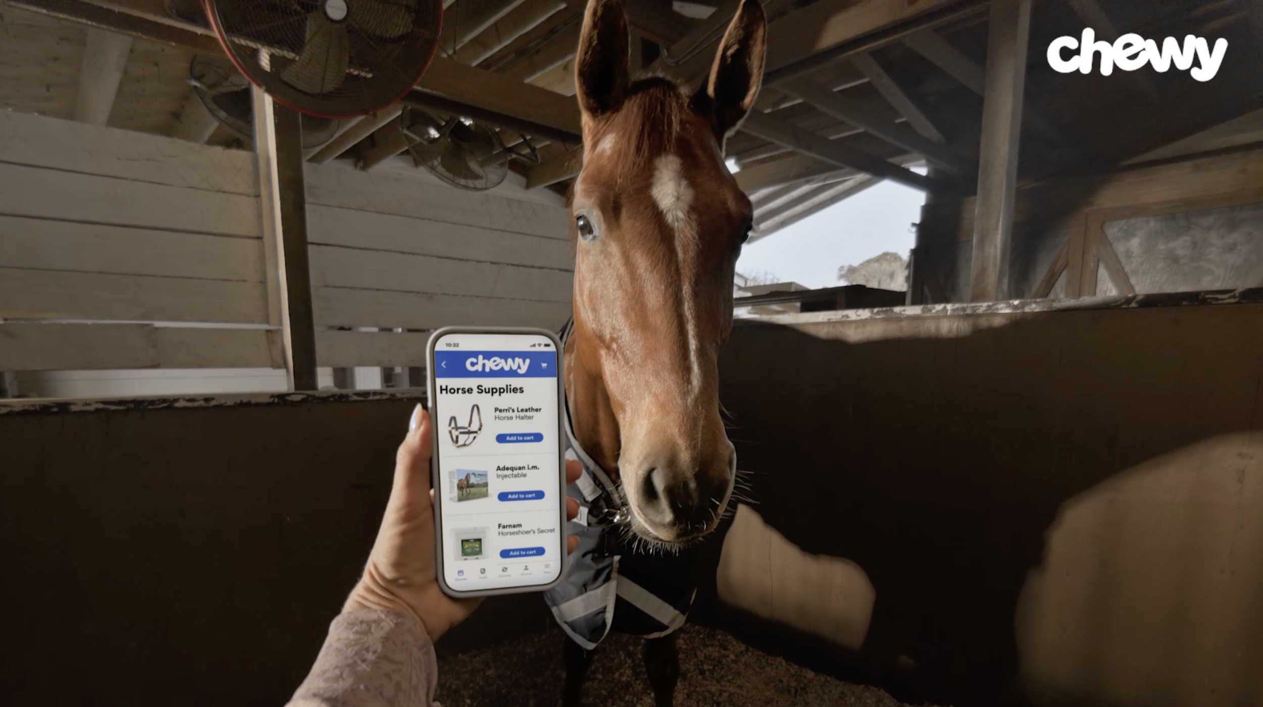 CHEWY EQUINE