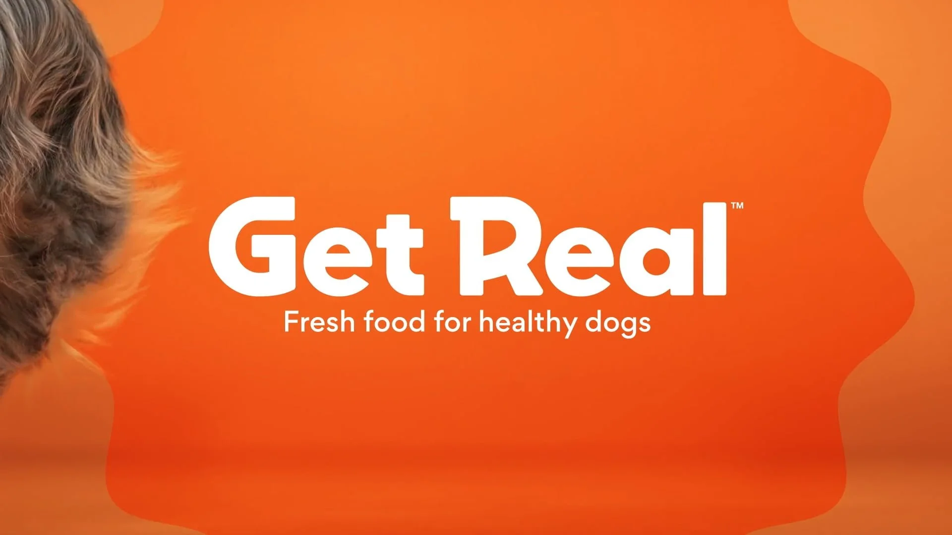 GET REAL