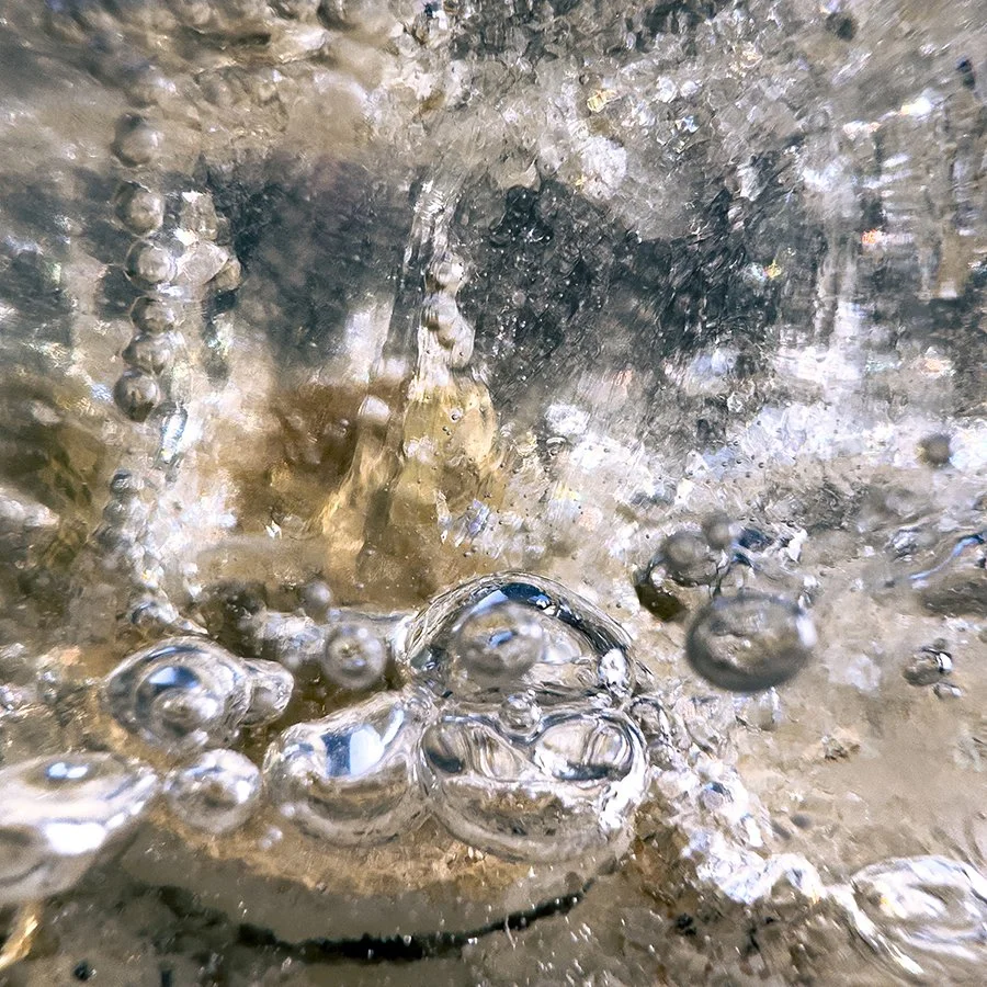 IMG_2951TEST copy.jpg