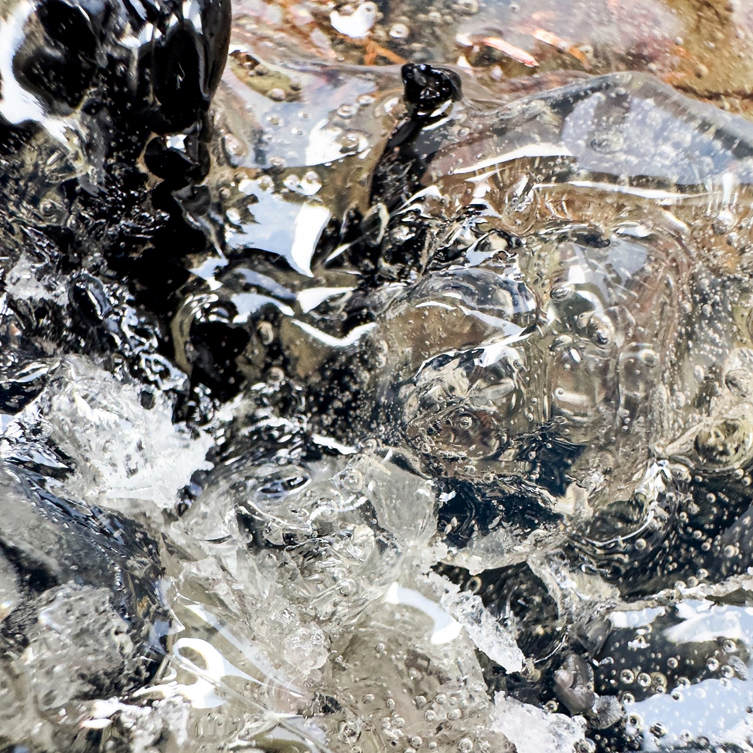 IMG_5410-1 copyTEST.jpg