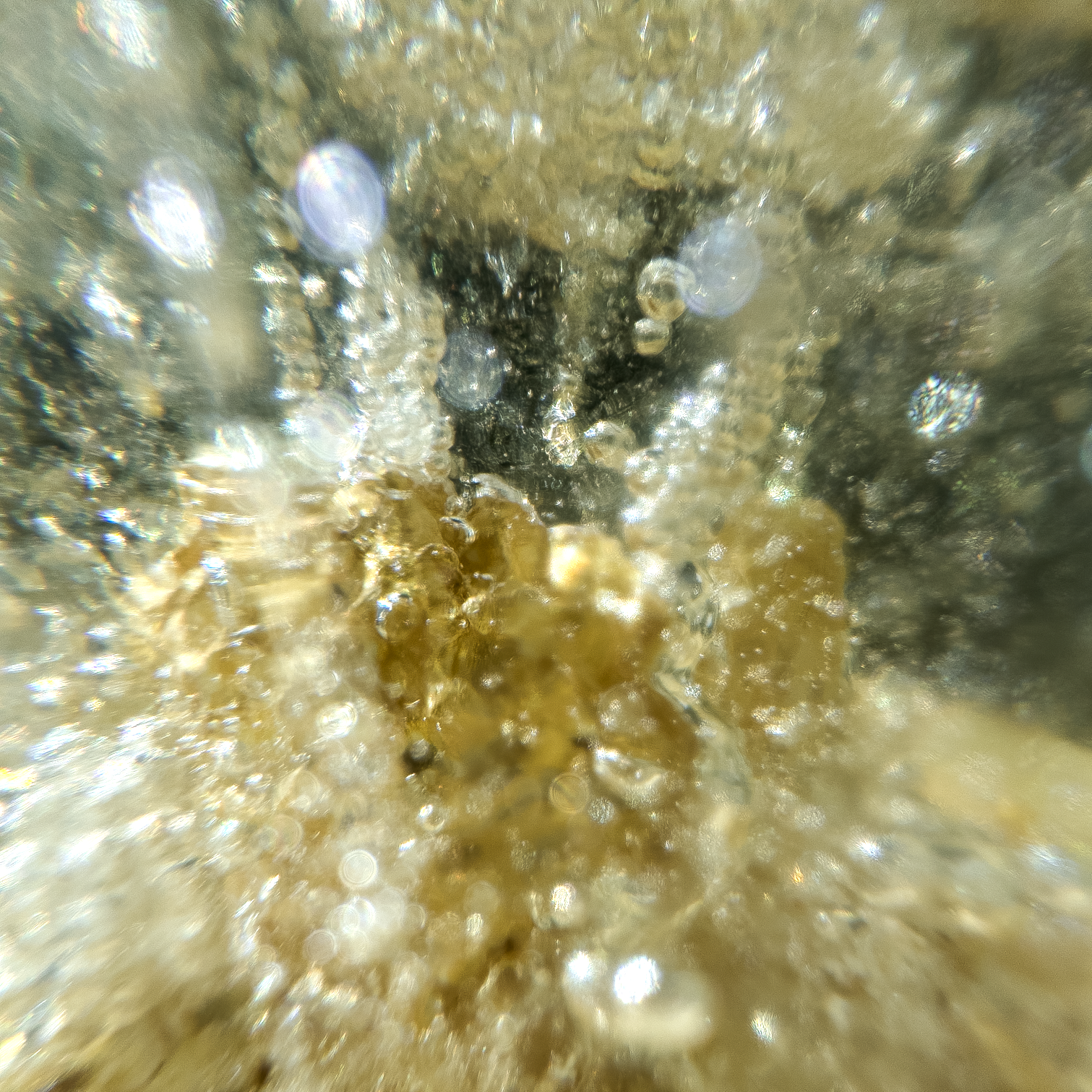 Screenshot 2025-01-30 at 5.29.25 PM.png