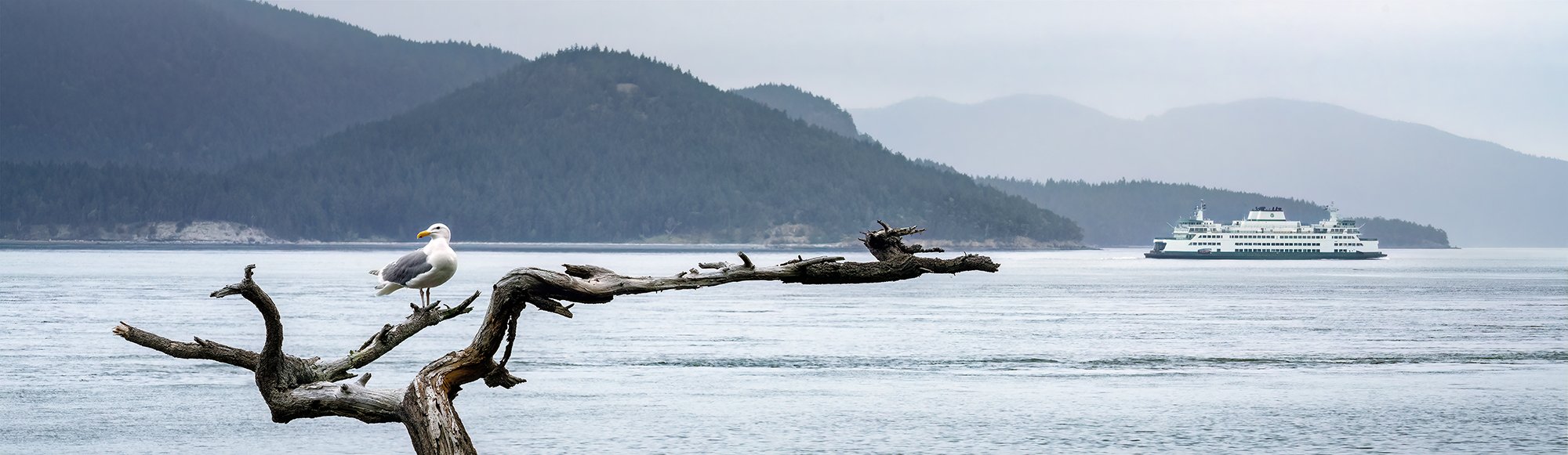 Anacortes Ferry