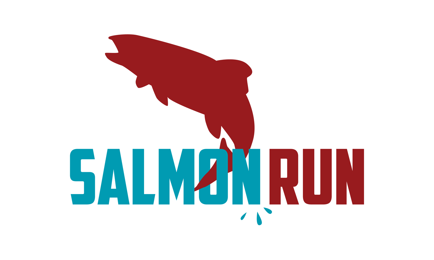 Salmon Run Half Marathon - 10K - 5K