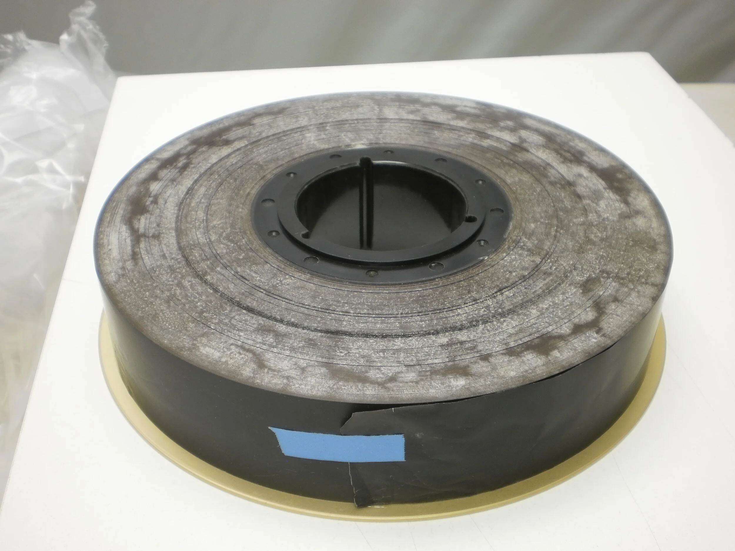 Green Without Envy Solutions For Mold on Tape — IMES Media