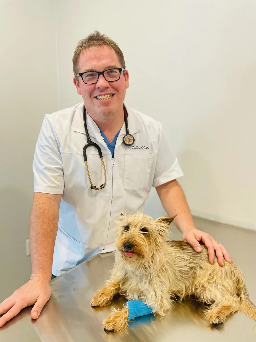 Meet The Staff Wildflower Animal Hospital