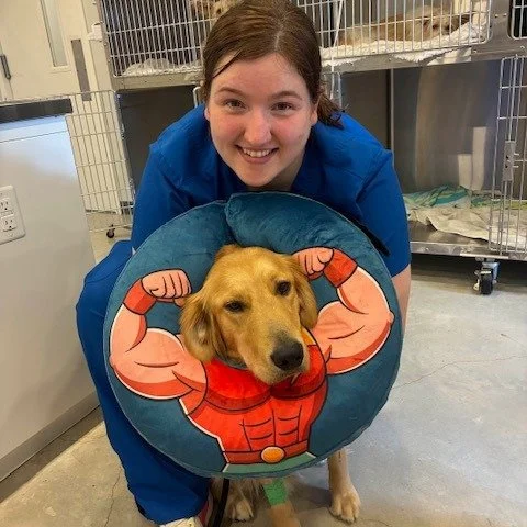 Cone of courage activated. Nothing can stop this little hero now! #happydog #vetmed #veterinarytechnician #smallanimalvet