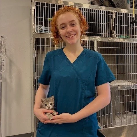 Pockets: not just for pens and snacks anymore. #fosterkitten #kittenlove #smallanimalhospital #veterinarymedicine #driftwood