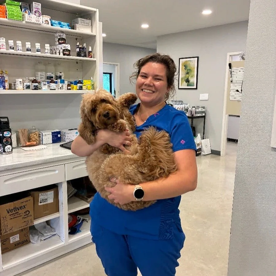 Compassionate care starts with trust&mdash;and maybe a hug! Lawren treats every pet like family. #veterinarytechnician #happydog #smallanimalmedicine #driftwood