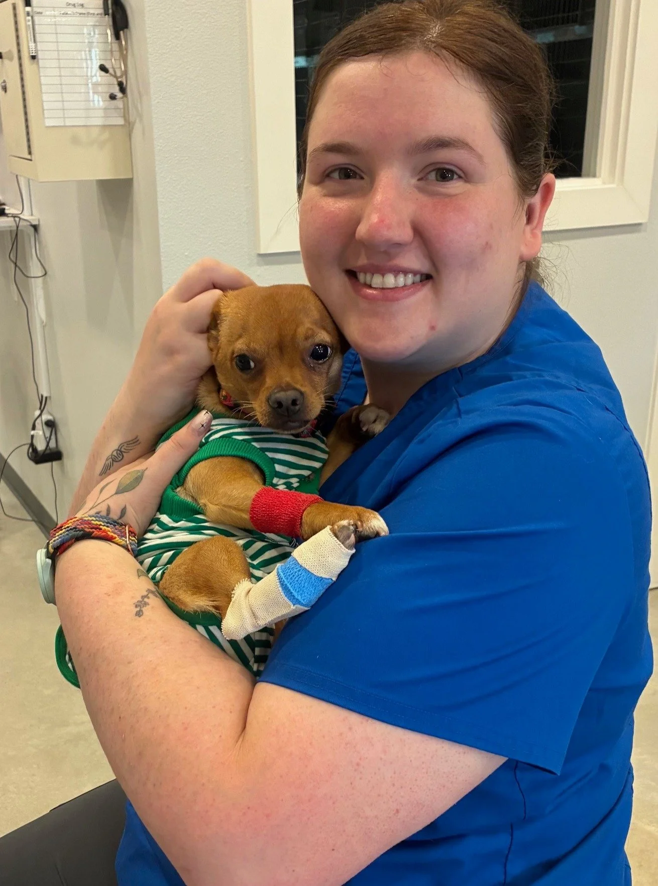 Emily snuggles are an important part of Chester's treatment plan. #veterinarytechnician #vetmed #happypatient #driftwood