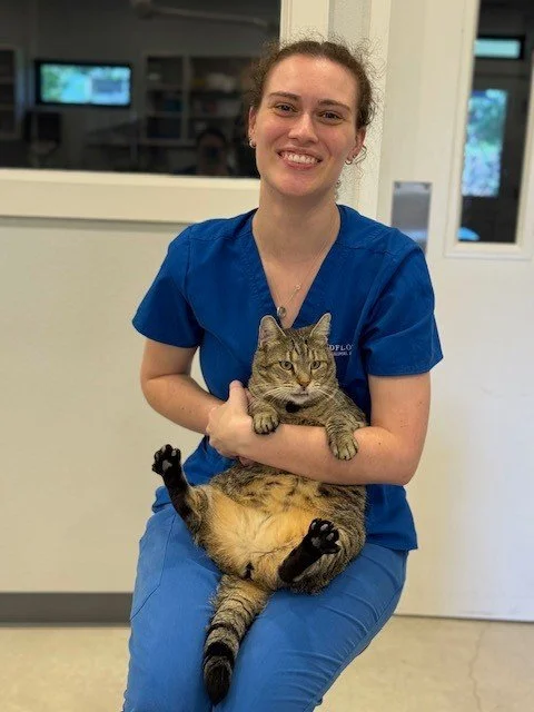 Olivia smiles contently while KittyKat plots world domination. #veterinaytechnician #happypatient #catlife #smallanimalhospital