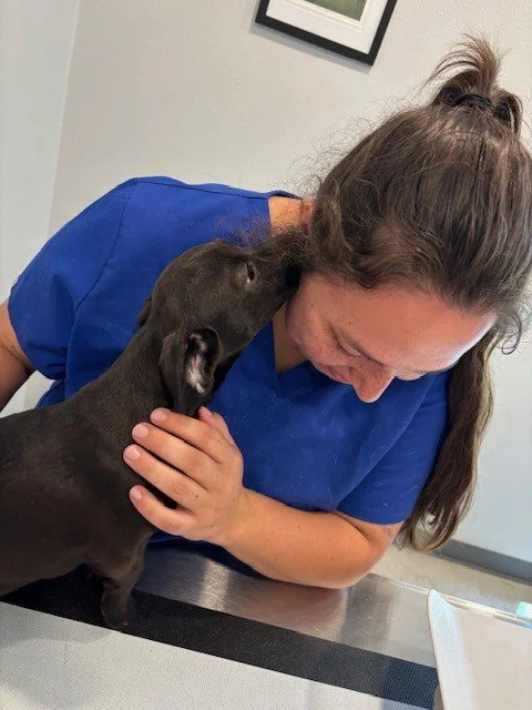 What's the secret? Lilly will never tell. #veterinarytechnician #happypatient #smallanimalvet #vetmed