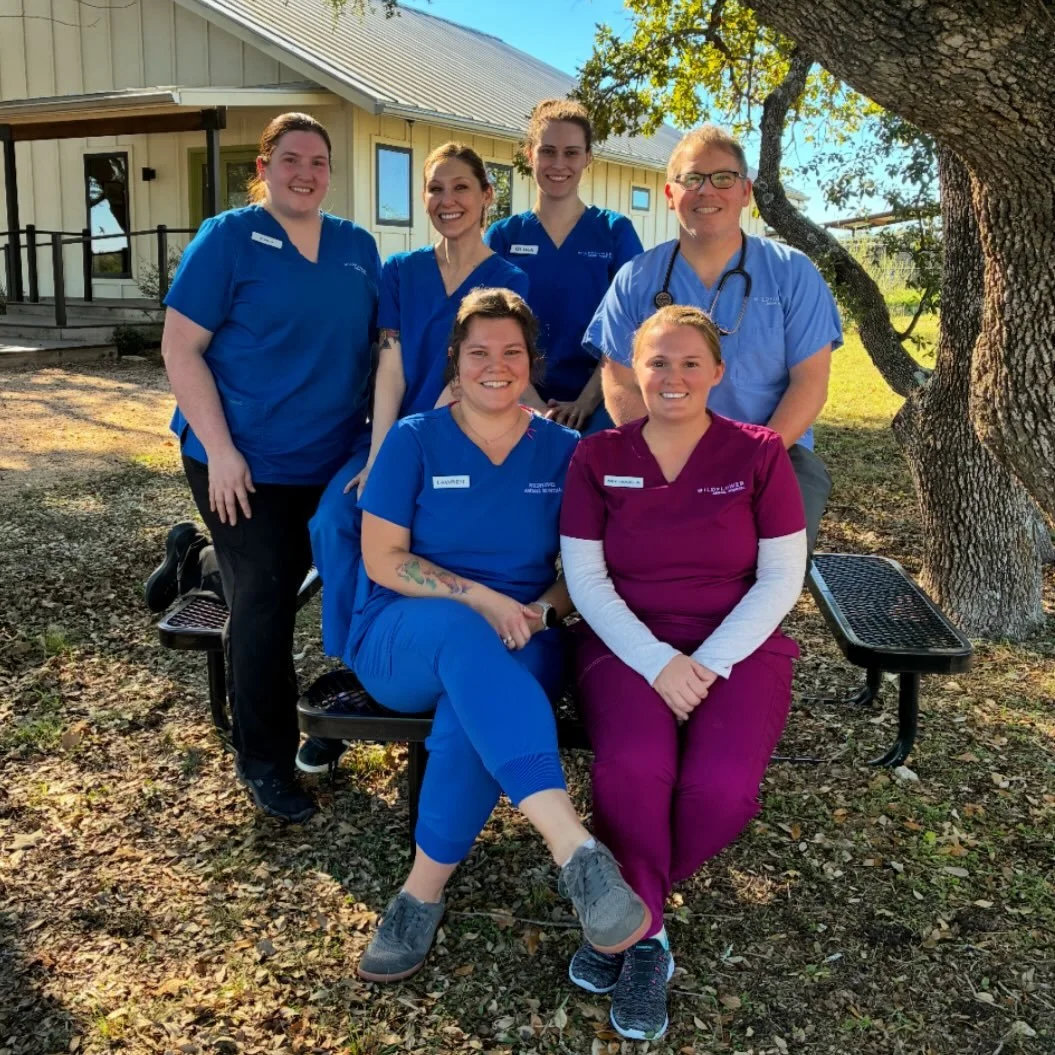 Happy Thanksgiving from our team to yours!
We&rsquo;re grateful for our amazing staff, our wonderful clients, and all the pets we get to care for every day. #happythanksgivng #workfamily #happyholiday