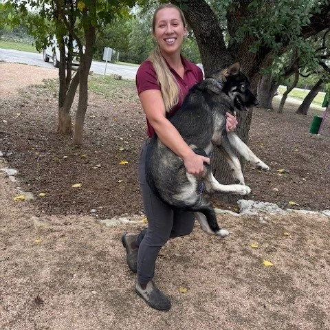 Walking is overrated, Dr. Taylor offers full‑service carry. #happydog #bestdoctorever #driftwoodtx