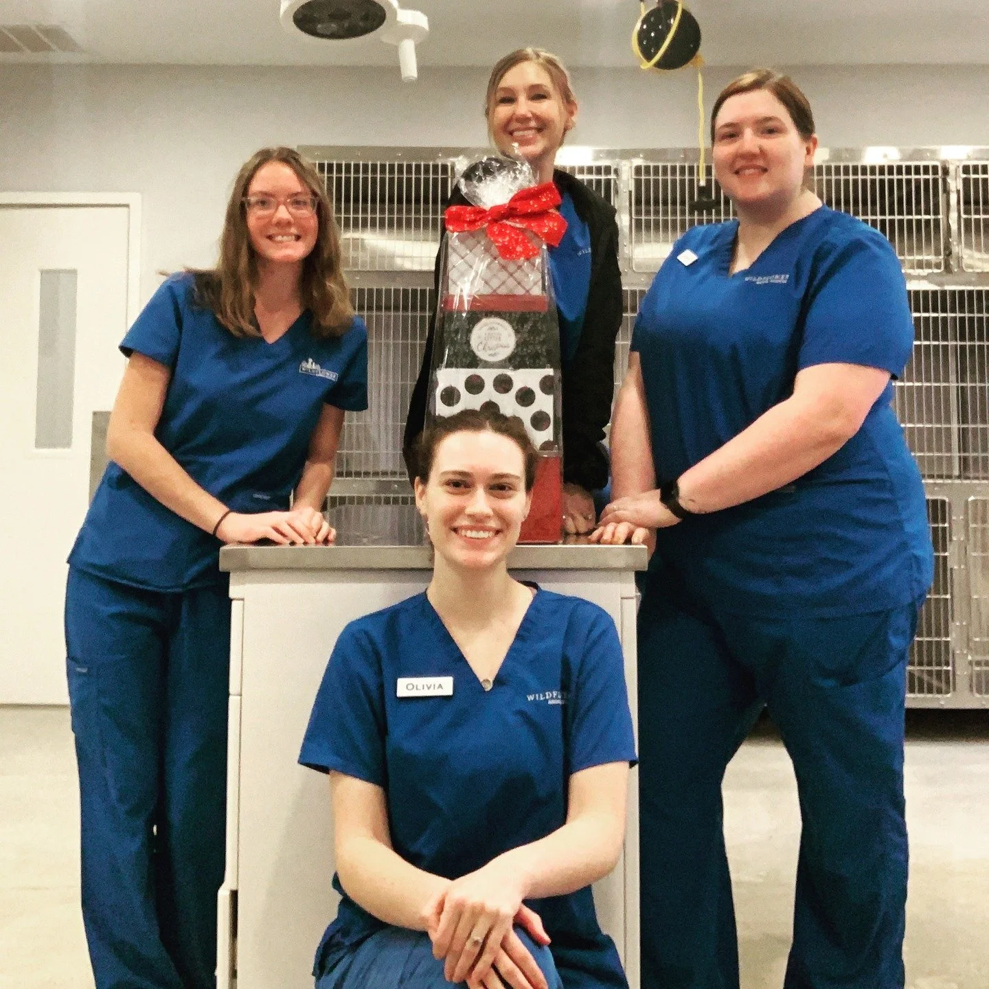 When the holiday spirit hits and so do the snacks from our amazing clients. Thank you all for thinking of us this holiday season. We appreciate it! #vettech #driftwoodtx #grateful #bestclientsever