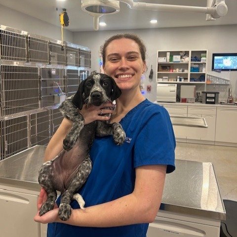 Behold: the reason productivity is at an all-time low. #vettech #vettechlife #driftwoodtx #gsp #puppylove