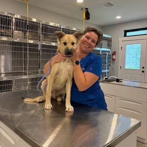 Say fleas...I mean, cheese! #driftwoodtx #vettech #happydog #cheeseplease