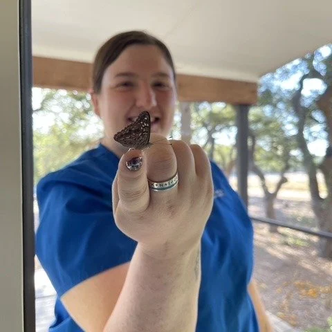 Emily is just winging it this morning. #vettech #driftwoodtx #butterfly #wingit