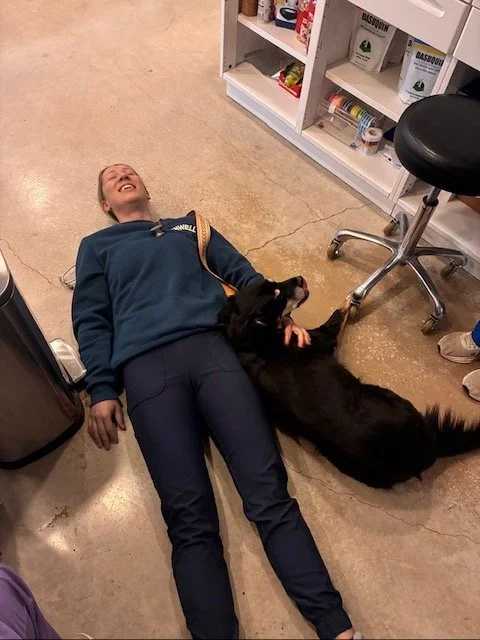 Dr. Taylor and Koda take a paws in the day for a little savasana. #yogadog #driftwoodtx #savasana #veterinarian