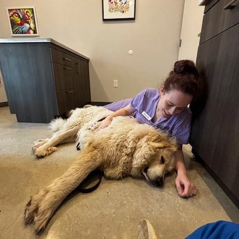 Olivia got promoted to big spoon today. #greatpyrenees #vettech #driftwoodtx #freehugs #notsolittlespoon